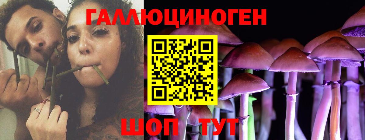 Псилоцибиновые грибы Psilocybine cubensis  Вход с VPN  Боровичи  Галлюциногенные грибы Magic Shrooms 
